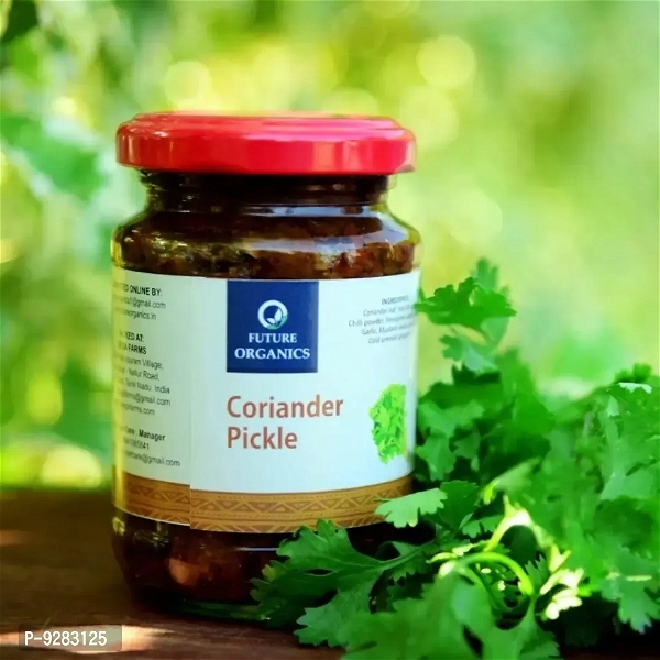 Future Organics Coriander Pickle - Pack of 2 (160 Grams Each)