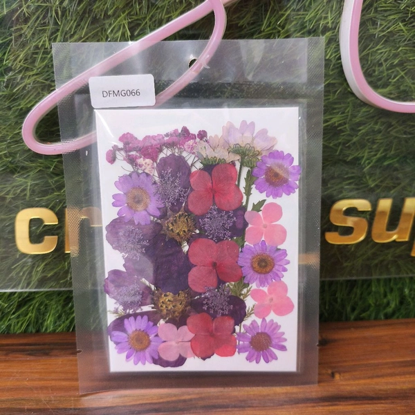  Dry Pressed Flower 