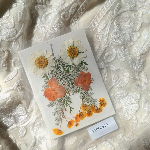 Dry Pressed Flower Pack 