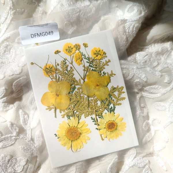 Dry Pressed Flower 