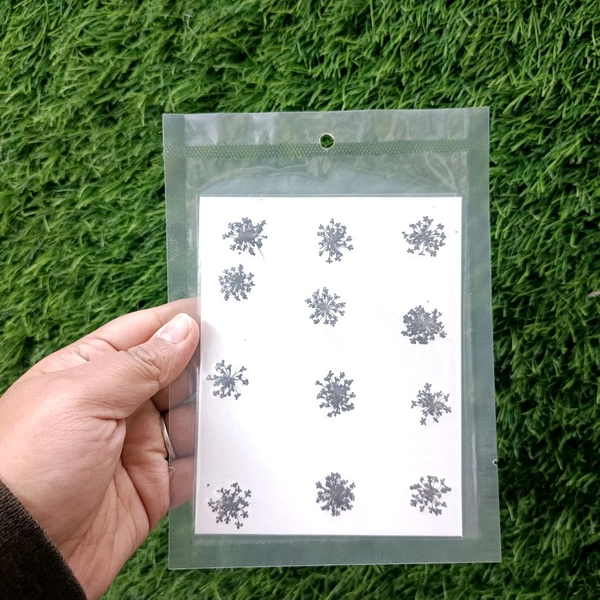Queen Anne Dry Pressed Flower Black 