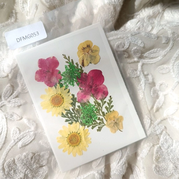 Dry Pressed Flower 