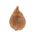 Brown Coconut (Nariyal)