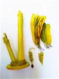 simonart and printing artificial banana tree - 100.0, 50 cm 35 cm 35 cm