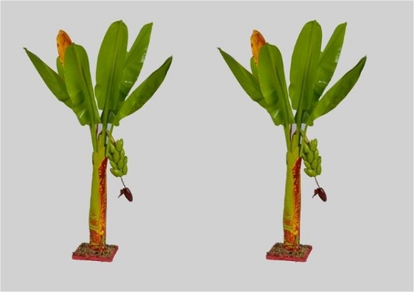 simonart and printing artificial banana tree 54 cm - 100.0, 54cm35cm35cm