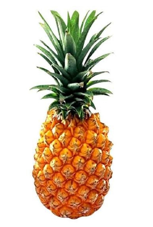Pineapple -whole-(800gm-1000gm)