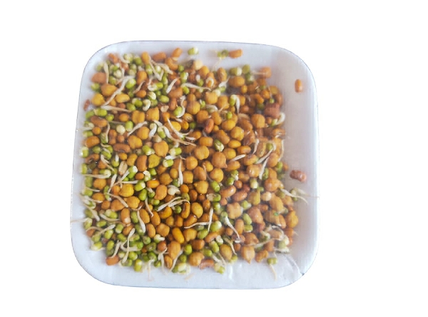 Sprouts Mix -200gm