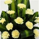 Yellow Carnations Basket