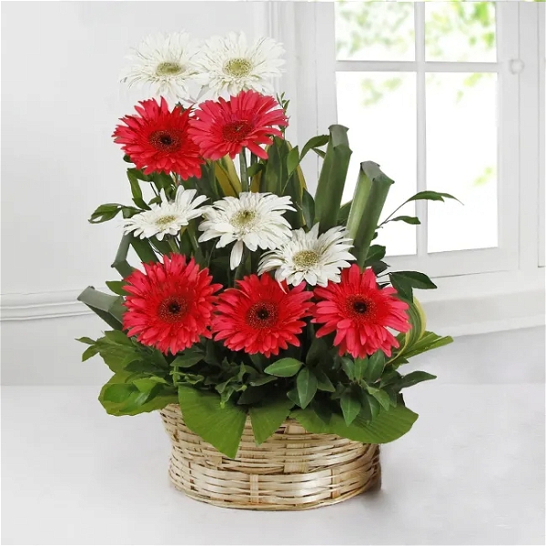 Anniversary Flowers Basket
