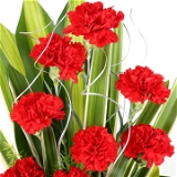 Red Carnations Basket