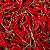 CT Mirch Dry Chilly (Sukan Jolokia) - 100g