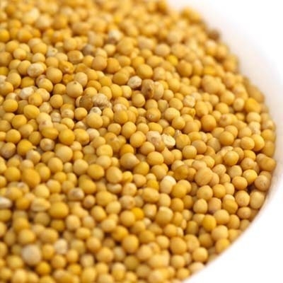 Sarsu/Mustard (Yellow) - 250g