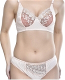 Women's Laced Bra and Panty Set | Beautiful Combo of Lingerie Set - Cameo, Pack Of 1 Set, 30B