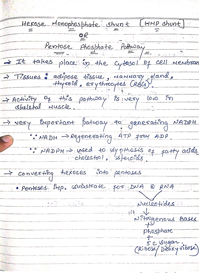 Biochemistry 2nd Semester Notes B Pharmacy