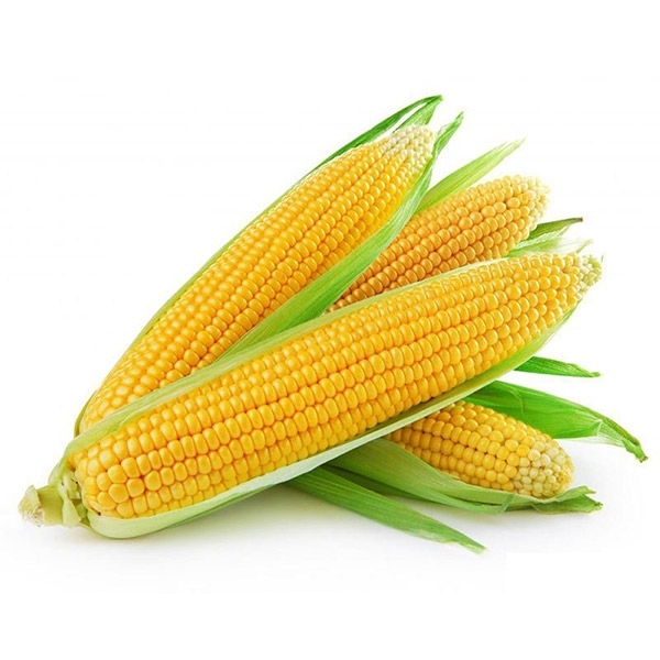 Sweet Corn-Raw-1PC
