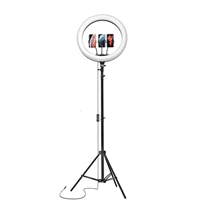  Basics LED Ring Light (14-inch) with Tripod Stand & Mini Tripod, and Dual Temperature Modes
