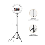  Basics LED Ring Light (14-inch) with Tripod Stand & Mini Tripod, and Dual Temperature Modes