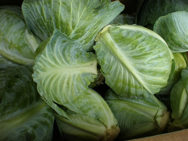Cabbage (Green) - (500g-800g)