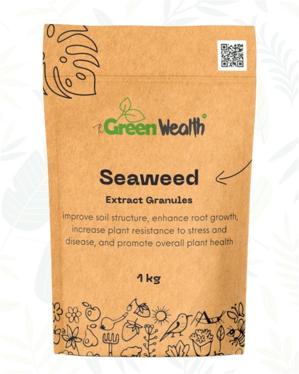 TGW Seaweed - 1 Kg