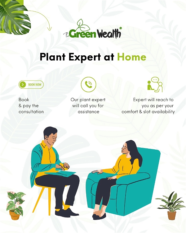 TGW Plant Expert At Home 