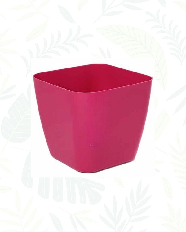 SIENA PLANTERS - 5.5 Inch, Pink