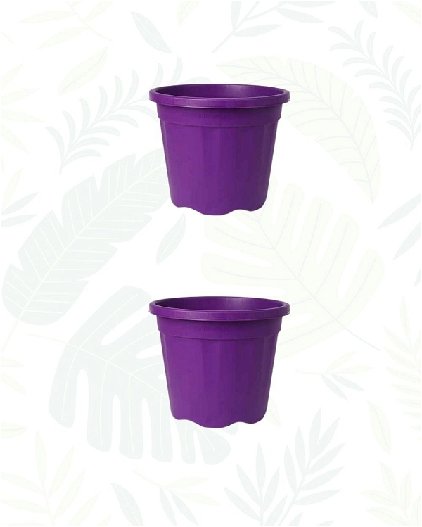 Set of 2 GROWER POT - 8 Inch, Purple