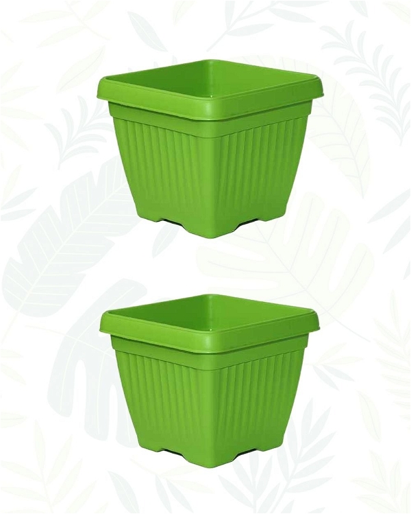 SET OF 2 BELLO SQUARE PLANTER WITH PLATE - 8 Inch, Green