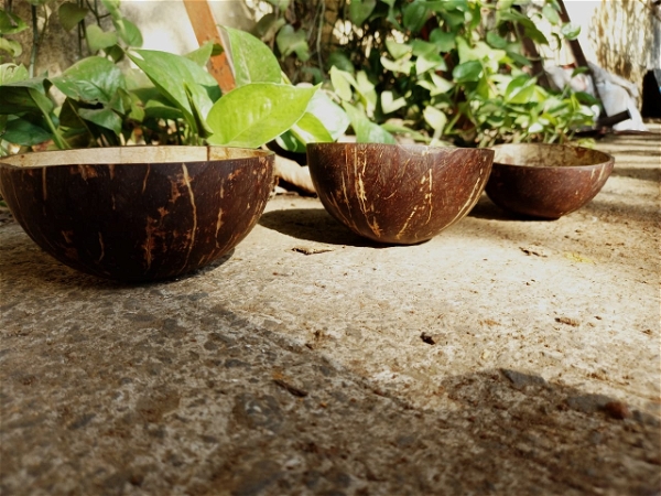 DVAI Matte Coconut Shell Bowl - 250 ML, Punga, 10-15 Working Days