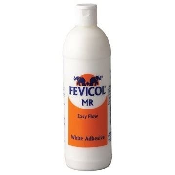 Fevicol Mr White Adhesive 1 kg