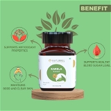 Karela Extract - Healthy Herbal Supplement - Rich sin Antioxidant Properties - Supports Healthy Blood Sugar Levels - Helps In Overall Wellbeing  - 60 Tablets (Pack Of 1)