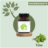 Tulsi ( Holy Basil ) Extract Tablets – Rich in Antioxidant – Supports Overall Health – Supports Healthy Immunity - 60 Tablets (Pack Of 1)