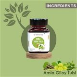 Amla Giloy Tulsi Tablets | Herbs for Immunity Wellness - 60 Tablets (Pack of 1)