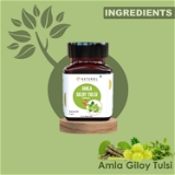 Amla Giloy Tulsi Tablets | Herbs for Immunity Wellness - 120 Tablets (Pack of 2)