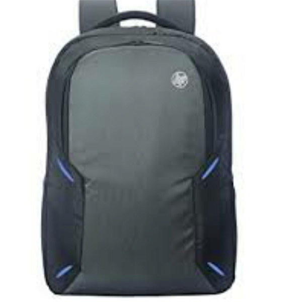 HP X Entry Backpack for Upto 15.6 Inch (39.6 cm) Laptop/Chromebook/Mac (Black) 1D0M5PA - Black