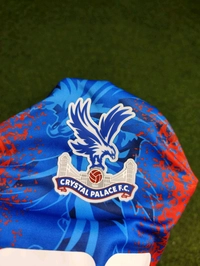 Crystal Palace 24/25 Home Jersey Player Edition  - M