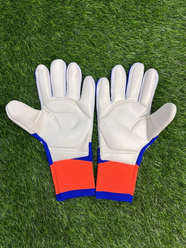 Predator Blue And White GK Gloves  - 10