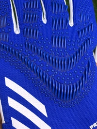 Predator Blue And White GK Gloves  - 10
