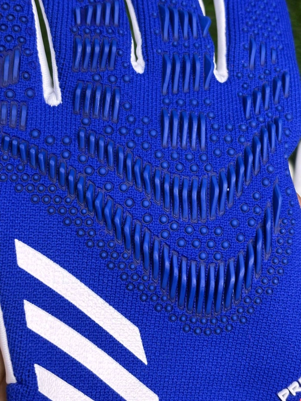 Predator Blue And White GK Gloves  - 10