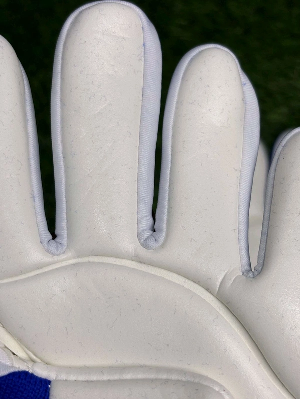 Predator Blue And White GK Gloves  - 10
