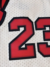 NBA Chicago Bulls White Colour - Jordan 23 - L