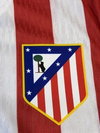 Atletico Madrid 25/26 Home Player Edition Half Sleeve  - M