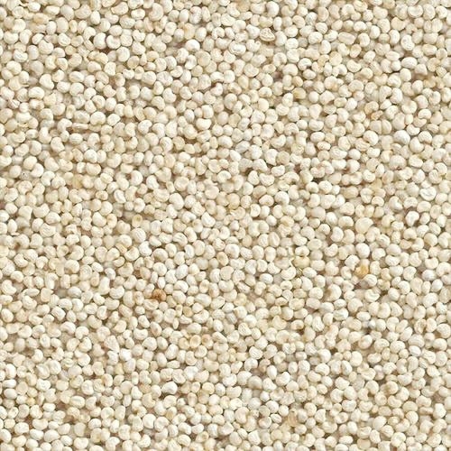 Poppy Seeds - గసగసాలు - 25g