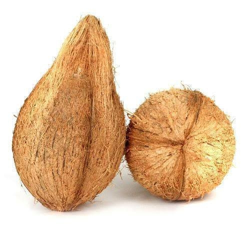 Coconut - కొబ్బరికాయ - 1