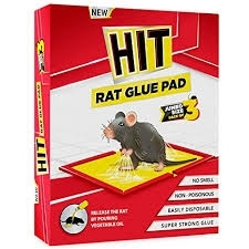 Hit Rat Glue Pad - హిట్ ఎలుక బంక అట్ట - 1 pc Big size