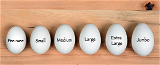 JUMBO ( Set Of 30 Eggs)