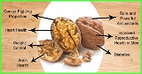AKHROT (CALIFORNIA) Premium Walnut Without Shell, Akhrot Giri ( 1 KG )