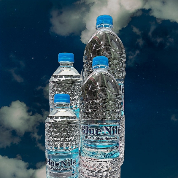 water Water Bottle 500 Ml  - 24 Pcs_1Box