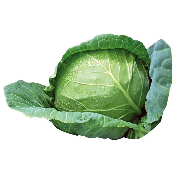 Cabbage 1 Pc Approx (600g-1000g)