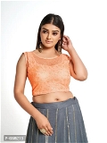 Women Round Neck Embriodered Net Sleeveless Readymade Blouse For Saree - XL