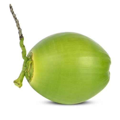 Green Coconut  - 1pcs